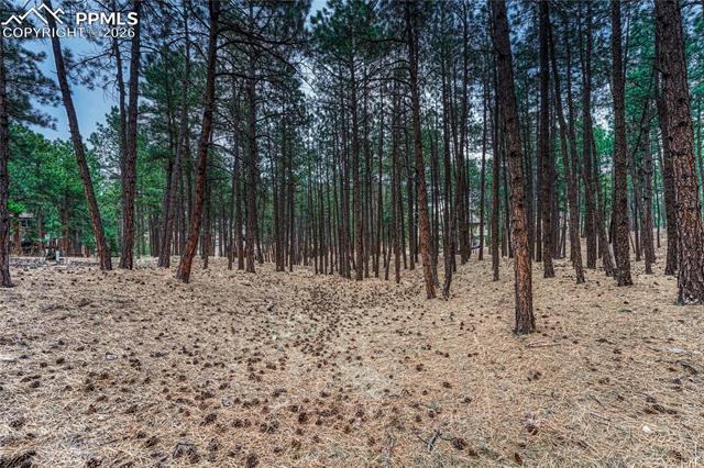 15585 Falcon Ridge Court