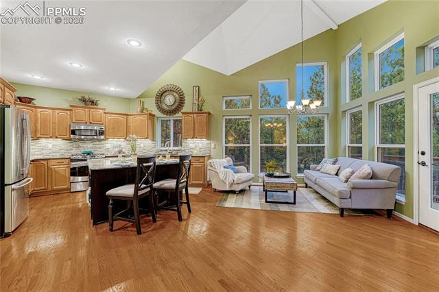 15585 Falcon Ridge Court