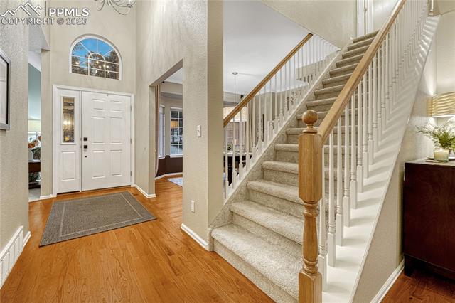 15585 Falcon Ridge Court