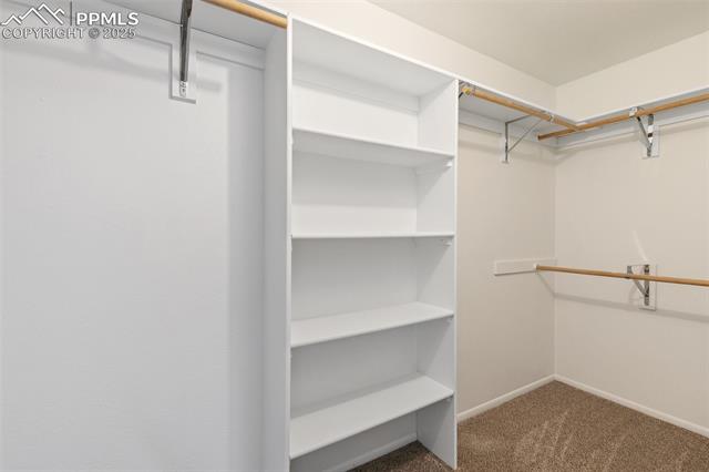 160 Dolomite Drive