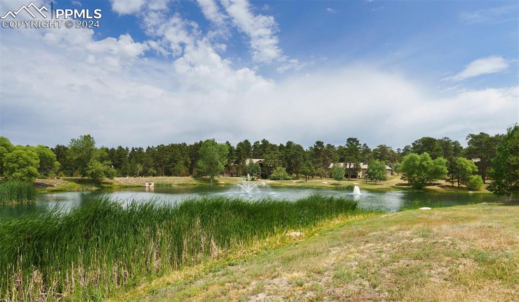 3825 Pinehurst Circle
