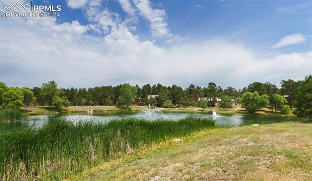 3825 Pinehurst Circle