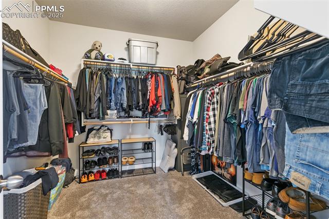 8323 Noreen Falls Drive