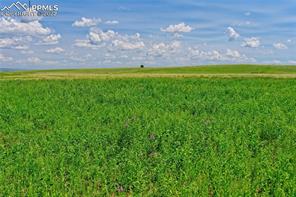 20305 Joyful View