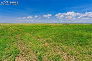 20305 Joyful View