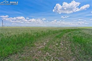 20305 Joyful View