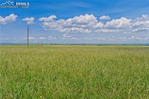 20305 Joyful View