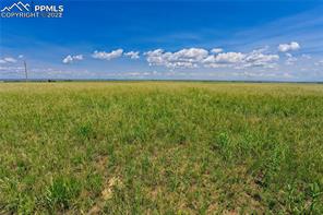 20305 Joyful View