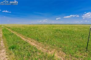 20305 Joyful View
