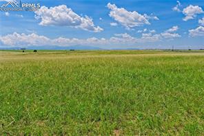 20305 Joyful View