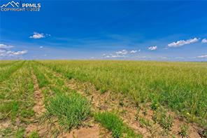 20305 Joyful View