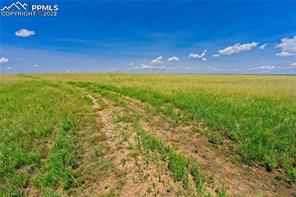 20305 Joyful View