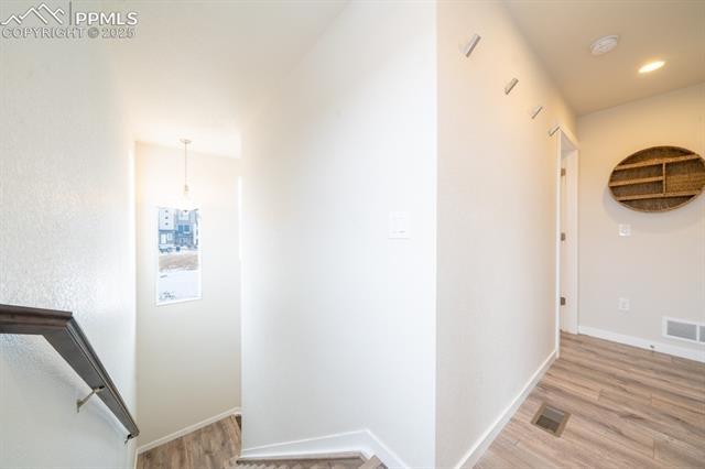 11331 Modern Meadow Loop