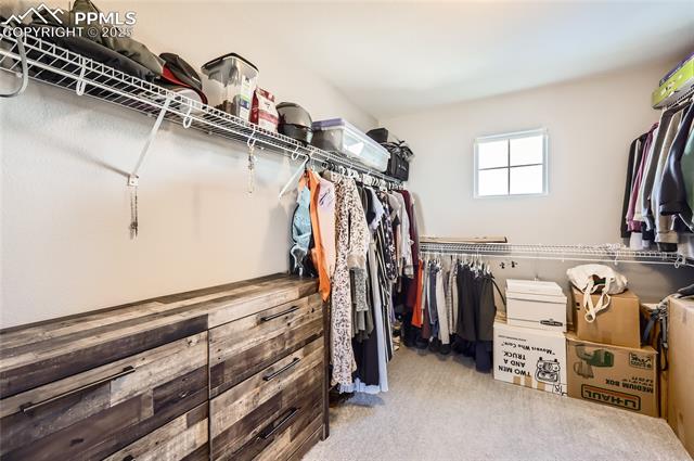 7838 Chasewood Loop