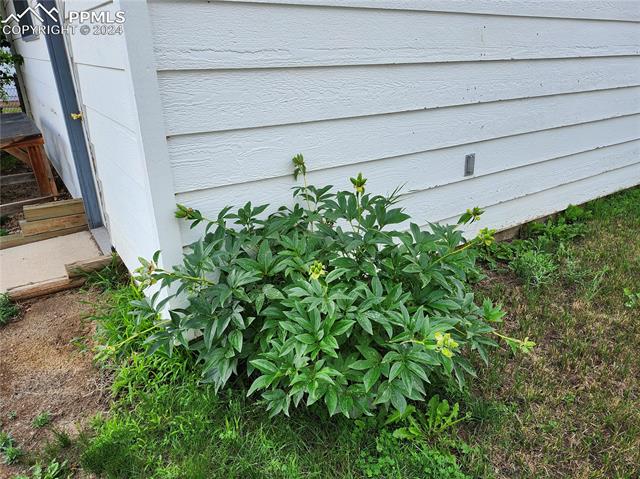 2524 Meadowlark Lane