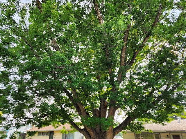 2524 Meadowlark Lane