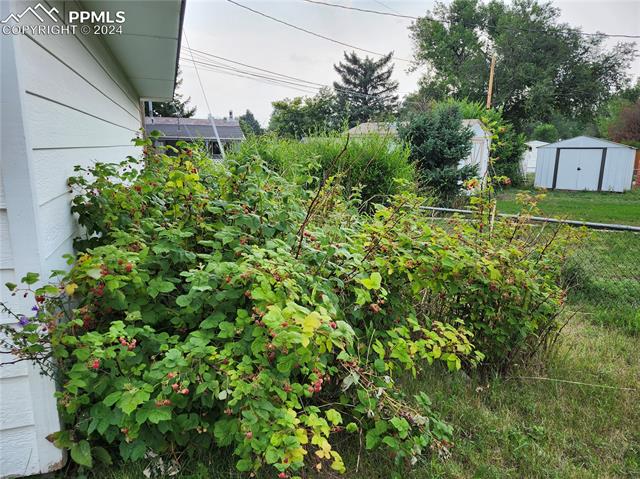 2524 Meadowlark Lane