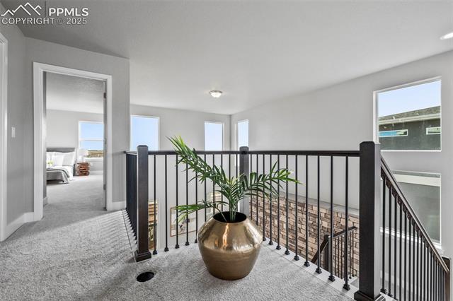 6437 Deco Drive
