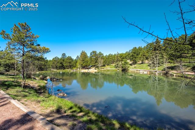 715 Sage Forest Lane