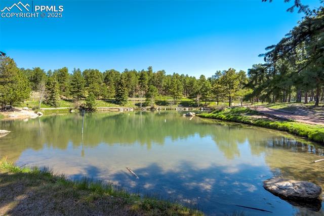 715 Sage Forest Lane