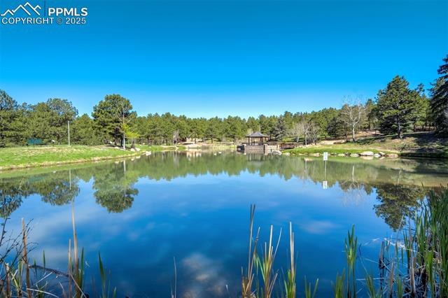 715 Sage Forest Lane