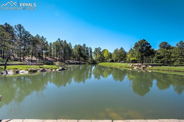 715 Sage Forest Lane