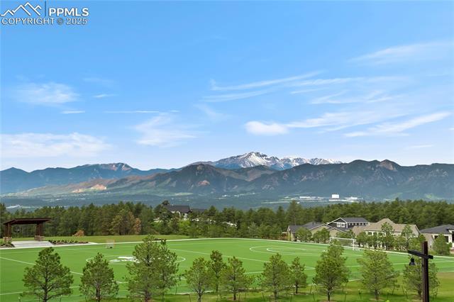 715 Sage Forest Lane