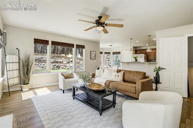 312 Pyrite Terrace