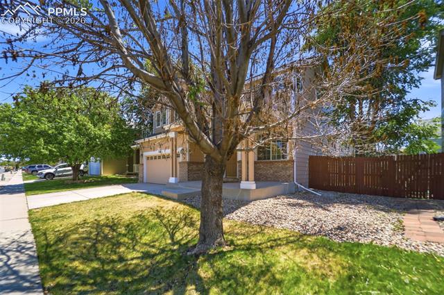 4691 Canyon Wren Lane