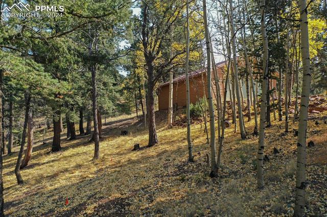 1987 May Queen Drive