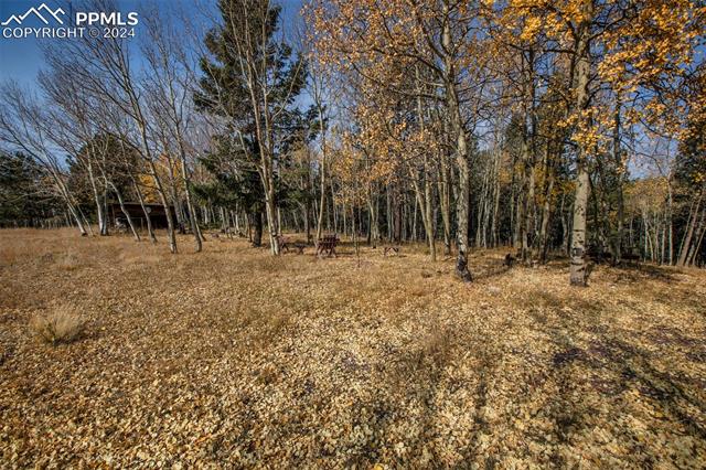 1987 May Queen Drive