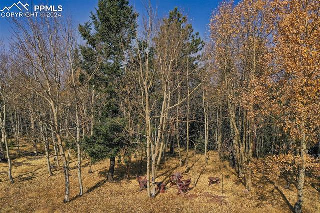 1987 May Queen Drive