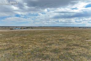 18235 Black Forest Road