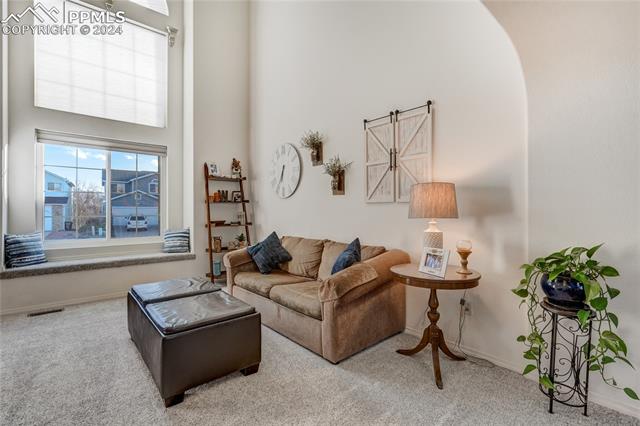 1164 Dream Lake Court