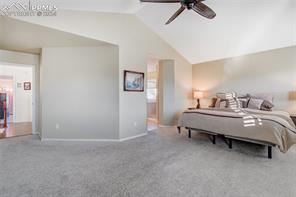 1164 Dream Lake Court