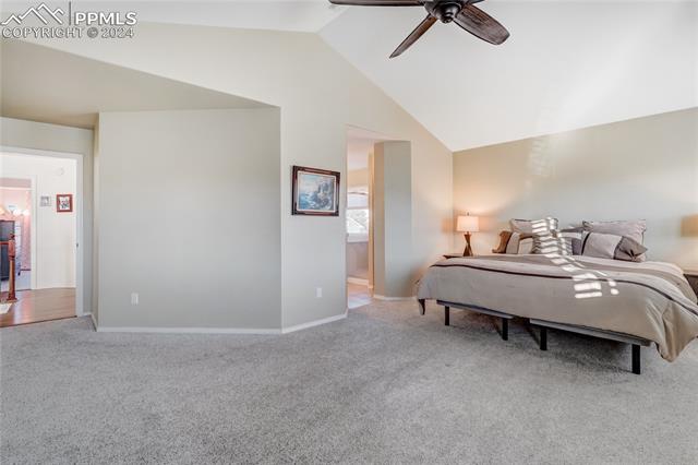 1164 Dream Lake Court