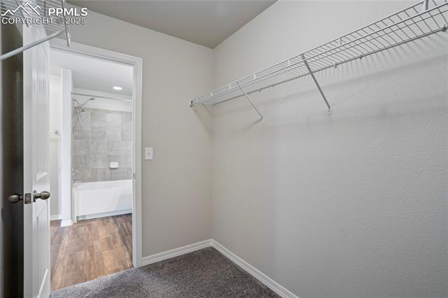 8121 Phyllite Drive