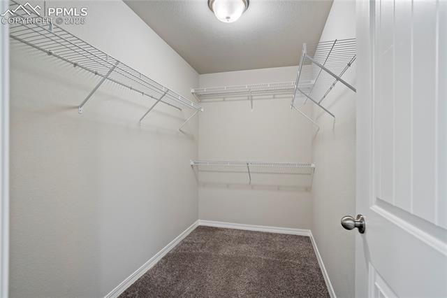 8121 Phyllite Drive