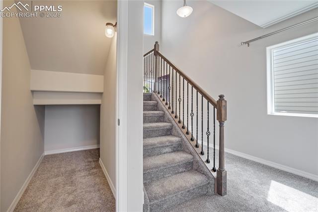 8121 Phyllite Drive
