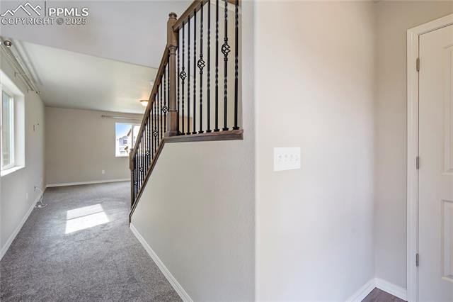 8121 Phyllite Drive