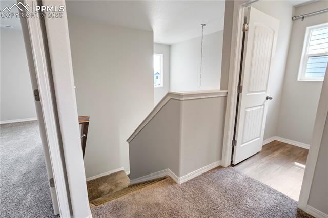 8121 Phyllite Drive