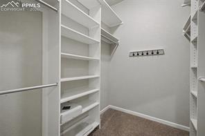 8426 Snow Cap View