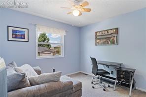 4929 Witches Hollow Lane