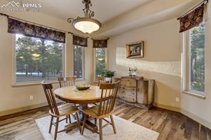 14954 Snowy Pine Point