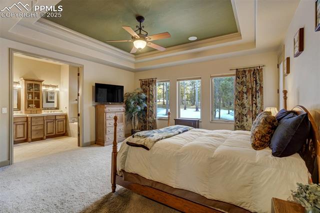 14954 Snowy Pine Point