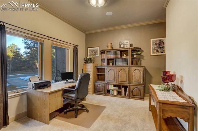 14954 Snowy Pine Point