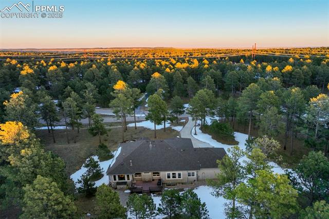 14954 Snowy Pine Point