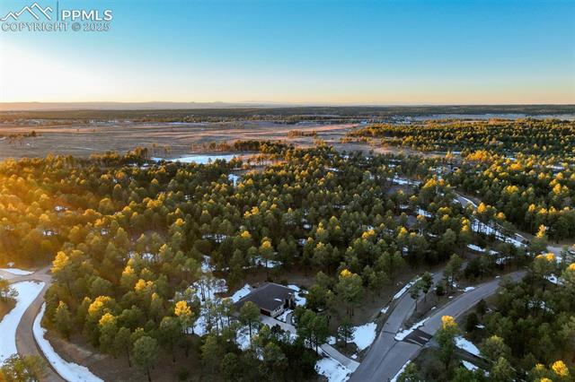 14954 Snowy Pine Point