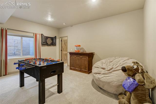 14954 Snowy Pine Point