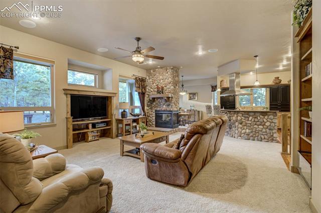 14954 Snowy Pine Point